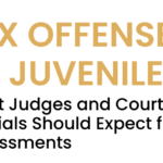 Sex Offenses By Juveniles: What Judges and Court Officials Should Expect from Assessments